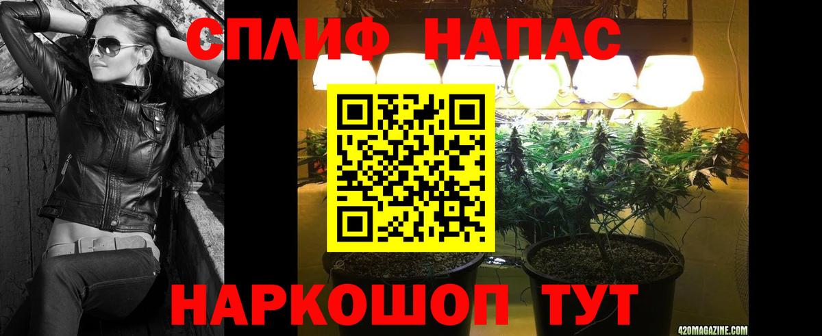 Канабис ГИДРОПОН  Вход с VPN  Бошки Шишки SATIVA & INDICA  Конопля конопля  Пыть-Ях 